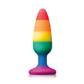 Pride Pleasure Plug Rainbow Medium